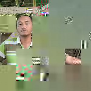 99K views · 1.5K reactions | Ternyata unggul Ternak sapi bali | HEWAN N2TV | Facebook