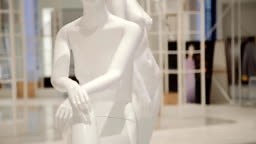 Mannequin or dressmakers dummy on with shopping mall on background....