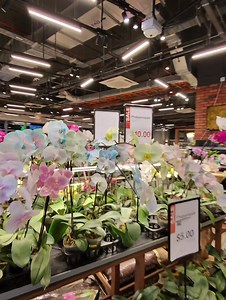 The Garden Gurus on Reels