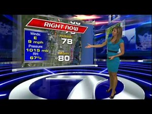 WSVN Weather Julie Durda Hot Blue Dress