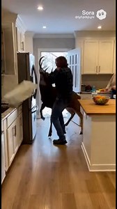 Kitchen Invasion | Home Wild