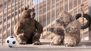 1.4M views · 31K reactions | Gotta watch what you eat. Robot Chicken | Season 7 Episode 9 | #RC20 . . . #robotchicken #adultswim #nature #animals #bears #stopmotion #animation #stoopidbuddy #comedy | Stoopid Buddy Stoodios | Facebook