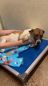 17K views · 351 reactions | Still looking for applications for one...