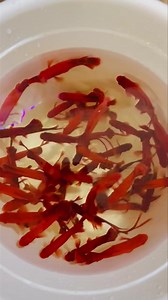 Last batch of cauliflower firecrackers 🥰 | The Great Amazon