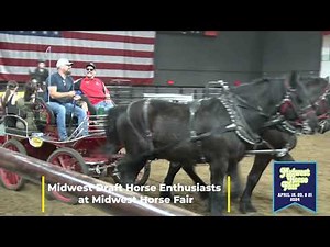 Watch Beautiful Draft Horses at the Midwest Horse Fair 2023!