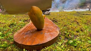 13K views · 811 reactions | Cooking delicious beef its so tasty but mango shake is amazing in beautiful weather near river | Forest cooking | Facebook