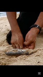 Lost.. Best ever #movieclips #movie #motivationalquotes | Gang