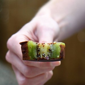 36K views · 14 reactions | These chocolate fruit pops are an easy-to-make, healthy summer treat that you won't be able to get enough of! 諾 | TrendCrunch | Facebook