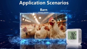 Remote WiFi Temperature & Humidity Sensor, No Subscription 24/7 Remote Temp Monitor with Email, Text Alerts, Sound & Light Alarm, Idea for RV, Pet, Greenhouse, Farm, Freezer, Server Room