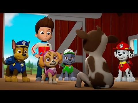 PAW Patrol - Baby Cow | Season 6 Compilation | WildBrain Zoo | Kids Cartoons