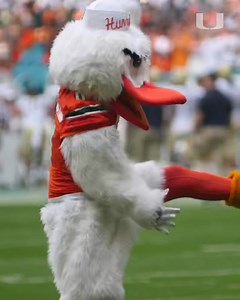 It’s all about Sebastian today 🙌 #NationalMascotDay | Miami Hurricanes