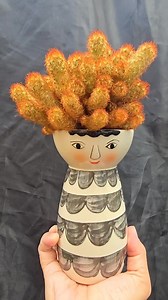 1.8K views · 75 reactions | Mammillaria elongata "lady finger cactus" #bikolanahardinera | Bikolanahardinera | Facebook