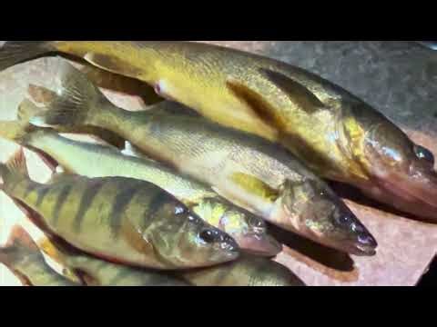 Fishing trip north to Ely, Minnesota walleye country