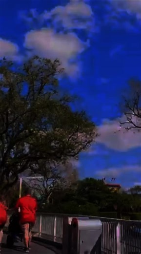 Taurus_facts ♉✨ on TikTok