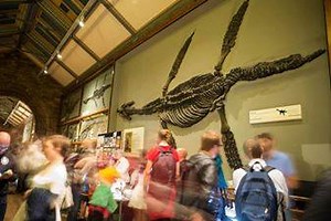 1.6K views | Natural History Museum, London on Reels | Facebook