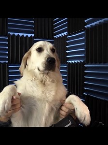 Markiplier & Chica Funny Edits: Iron Lung Moments