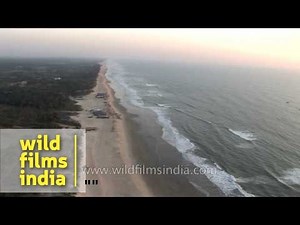 Goan coast from the perspective of a para-motorist