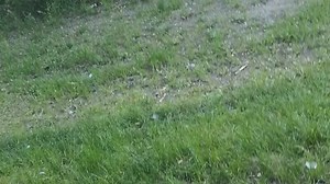 Подборки видео для вас — поиск Яндекса по видео