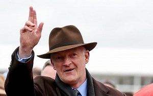 Willie Mullins Melbourne Cup Runners 2024