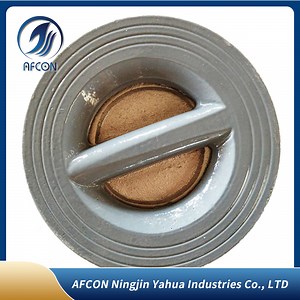 [Hot Item] Cast Iron Double Disc Wafer Type Check Valve