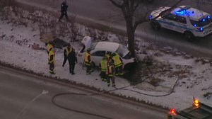 DuSable Lake Shore Drive crash leaves woman dead after vehicle slams into tree in median