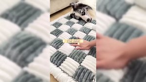 Funny Fuzzy Couch Cover, Chenille Fabric Furniture Protector Sofa Cover, Funny Fuzzy Dog Bed Car Seat, Handwoven Non-Slip Couch Cover (Blue Grey, 70 * 180CM/27.55 * 70.86inch)