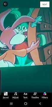 tiny toon adventures buster adk babs out to the prom