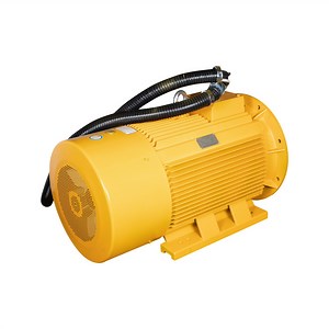 [Hot Item] Typ Series Variable Frequency Start Permanent Magnet AC Synchronous Motor