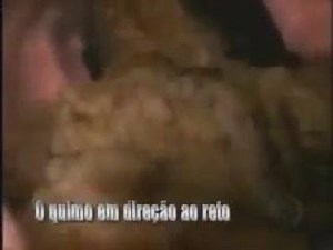 19K views · 189 reactions | Os seres humanos, para manterem as...