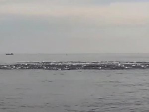 bad weather catches fish with purse seiners at sea | Muammar Rafly