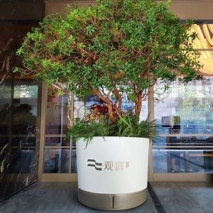 [Hot Item] Galvanized Steel Outdoor Furniture Balcony Stainless Outside Use Landscape Customized-Made Metal Planter King-Sized Boxes