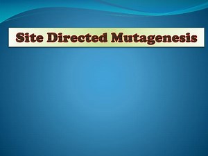 Site Directed Mutagenesis - SlideServe