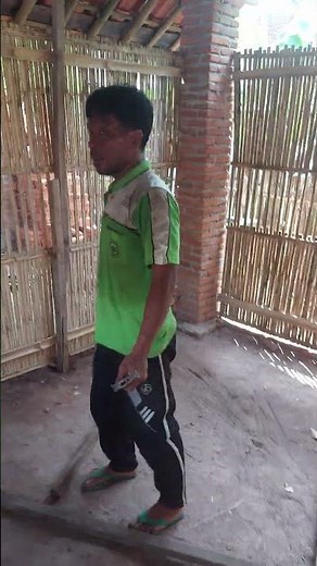 proses pembuatan kandang koloni ayam bangkok.