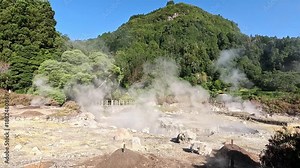 Geothermal fumaroles emitting steam at Furnas, a volcanic caldera known for its hot springs and geysers, Sao Miguel Island, Azores, Portugal