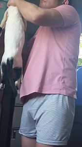 44K views · 2.3K reactions | Normal life sang mag Live-IN nga Geh.... #BiCouple #gayreels #lgbtqia #ilonggo | Mo Jo | Facebook