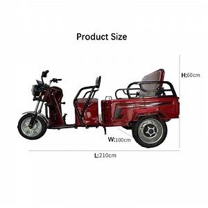 [Hot Item] Home Foldable Electric Cargo Tricycle Scooter Electric Tricycle for Leisure