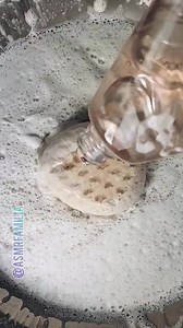 Pouring dish soap. 🤍 #ASMRHelpfulTipsCollab #asmrcleaning #asmrsponge #sponge #pinesol #suds #asmr #asmrsatisfying #bonami #comet #ajax #pouring #dishsoap | Detox Familia