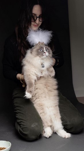 Would you do a pet shoot? ⬇️ So many people share with me their fear that their cat won’t be photographable and therefore I am extra passionate about creating a safe space for them to be photographed together. As a cat mom myself I almost missed out on photos with my 17 year old kitty, and I really encourage you to schedule the session with them 🐱 You may get a few scratches but you won’t regret it 😂 #pittsburghphotographer #pittsburgh | Heather Tabacchi Photography