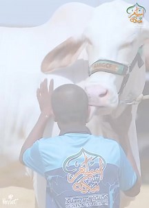 Jitni bar dekho gy utni bar muhabbat hogi is se 🙈 Our dearest doll , ❤❤ NOOR-UL-AIN ❤❤ Pure Gulabi Love for qurbani lovers 😍 Aslam & Makkah Cattle farm ❤ | Aslam and Makkah Cattle & Goat Farms