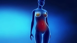 clip-3077368-woman-pregnancy-3d-animation-time-lapse