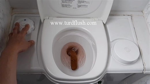Flush turd caravan toilet