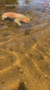 45K views · 93 reactions | So, why this particular stone, buddy? | Bright Side Fun | Facebook