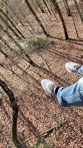 Ziplining with the family at Smoky Mountain Zipline in Pigeon Forge! | Dr. Michael Brown