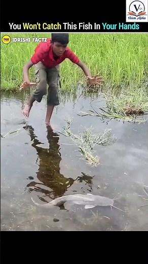what a naughty fish #education #facts #fish #trending #youtubeshorts #viralvideo