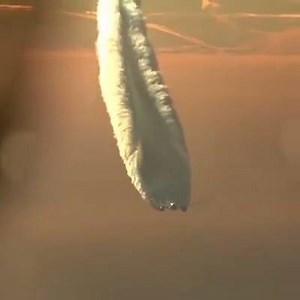 Don't worry this is perfectly normal. What you see are those well-known contrails - standing for condensation trails - that form behind the engines at high altitude. This video is quite impressive but this phenomenon has got nothing to do with engine failure. For further info: https://en.wikipedia.org/wiki/Contrail | Wingly