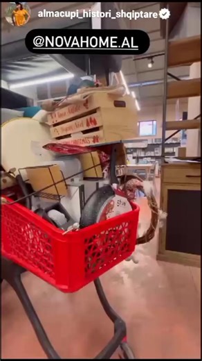 4.5K views | Ju mirëpresim në Nova Home | NOVA HOME | Facebook