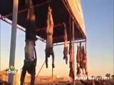 public display of hanging corpses