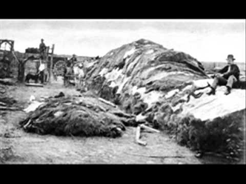 Dodge City Documentary