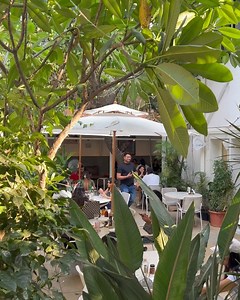 Green Theory on Reels | Facebook