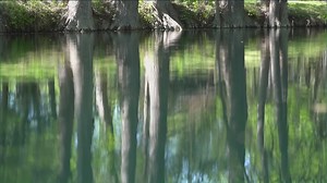 City of Georgetown is planning improvements to Blue Hole Park. | KVUE